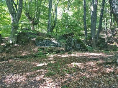 Прикрепленное изображение: 002.jpg